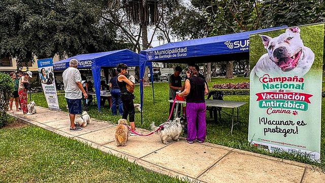 Surco ofrece vacunación y desparasitación gratuita para mascotas