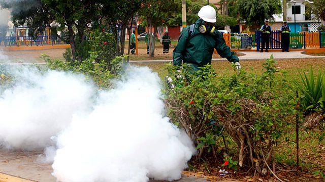 San Martín de Porres intensifica lucha contra el dengue ante llegada de El Niño