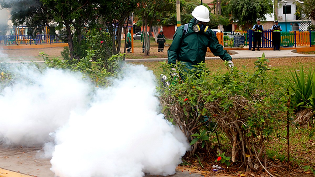San Martín de Porres intensifica lucha contra el dengue ante llegada de El Niño