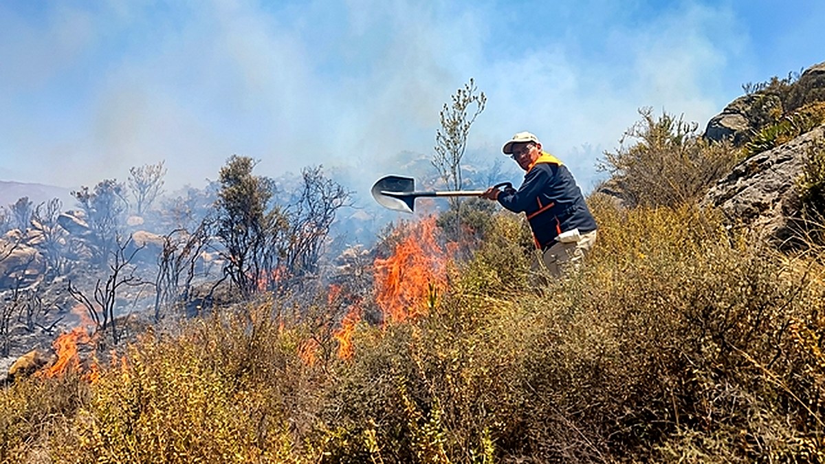 Arequipa: Serfor informa que incendio forestal en Pocsi está controlado