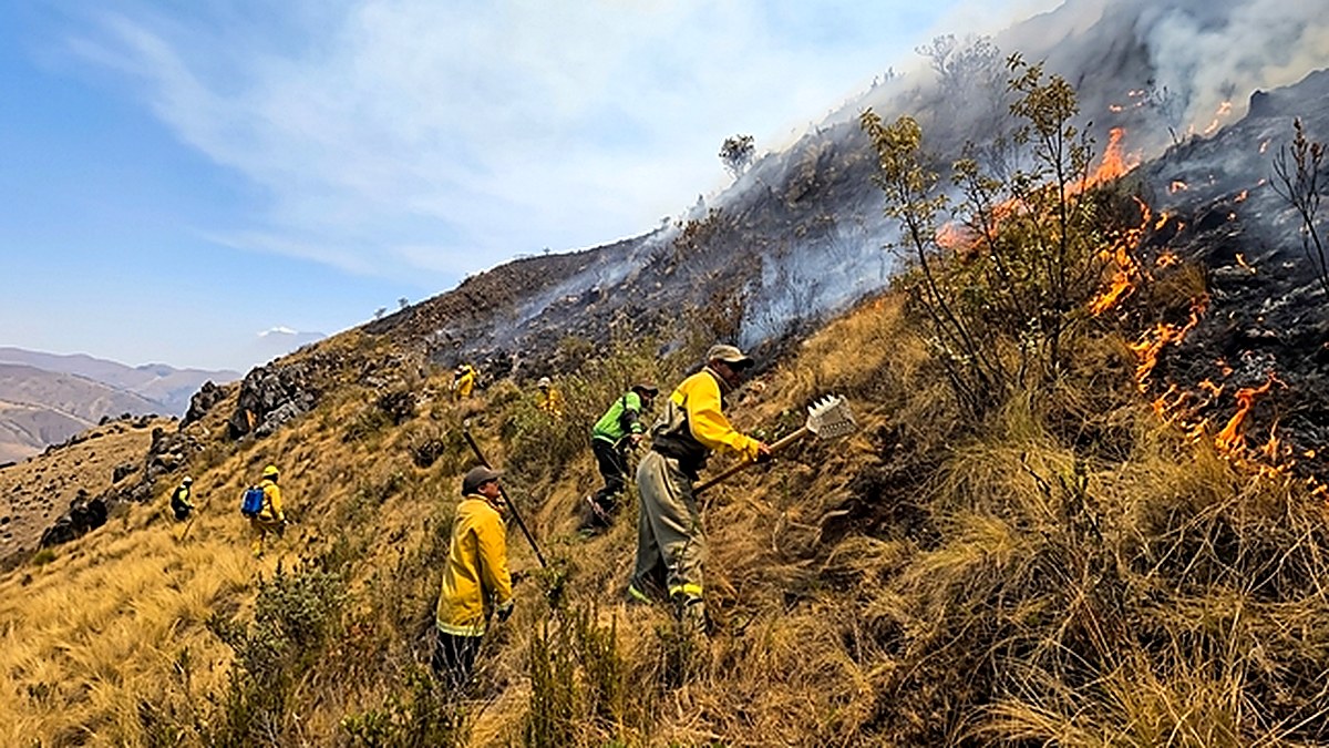 Serfor realiza monitoreo permanente de incendios forestales y emite alerta a autoridades competentes a nivel nacional