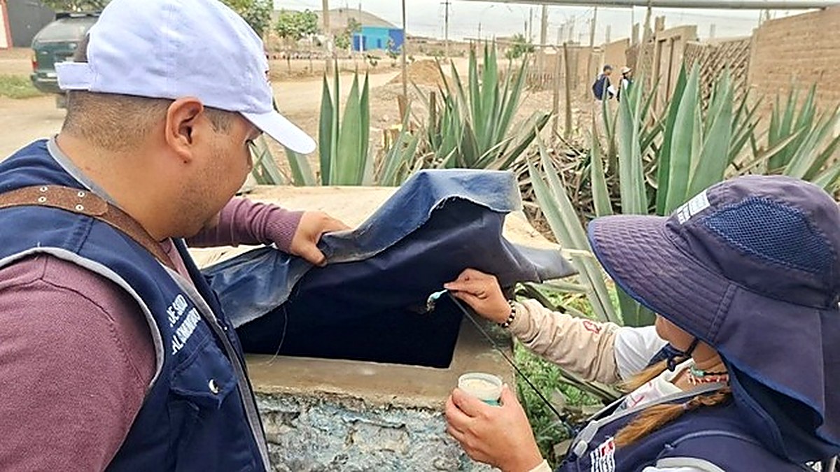Minsa interviene 200 viviendas en Lomas de Ancón para frenar el dengue