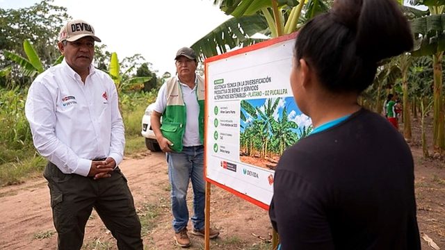 DEVIDA articula acciones frente al TID y amplía oportunidades para familias productoras